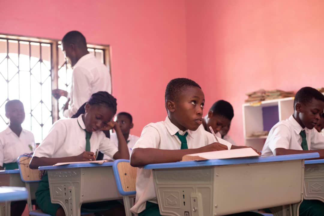 whatsapp image 2025 11 15 at 3.00.01 pm