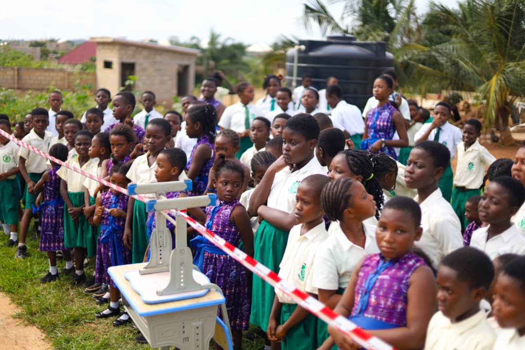 whatsapp image 2025 11 17 at 12.38.40 pm